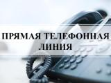 https://soc.admnsk.ru/life/DocLib2/прямая линия.jpg